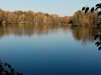 Starke Leistungen beim Martinslauf am Unterbacher See