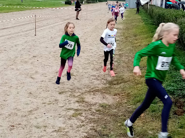 Neusser Rennbahn-Cross (100 Jahre Stadtsportverband)